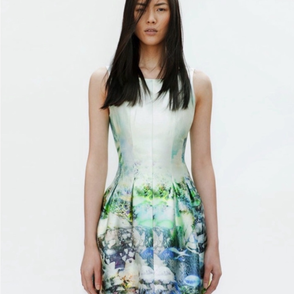 Zara Aquatic Fish Print Mini Dress